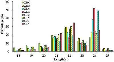 Comparative Analysis of Salt Responsive MicroRNAs in Two Sweetpotato [Ipomoea batatas (L.) Lam.] Cultivars With Different Salt Stress Resistance